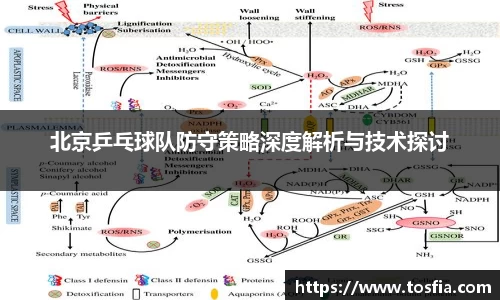 北京乒乓球队防守策略深度解析与技术探讨