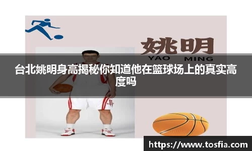 台北姚明身高揭秘你知道他在篮球场上的真实高度吗