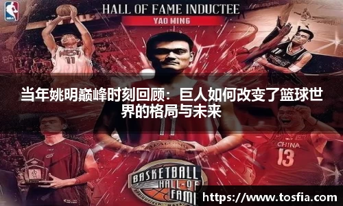 当年姚明巅峰时刻回顾：巨人如何改变了篮球世界的格局与未来