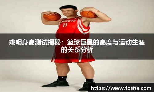 姚明身高测试揭秘：篮球巨星的高度与运动生涯的关系分析