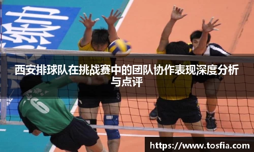 西安排球队在挑战赛中的团队协作表现深度分析与点评