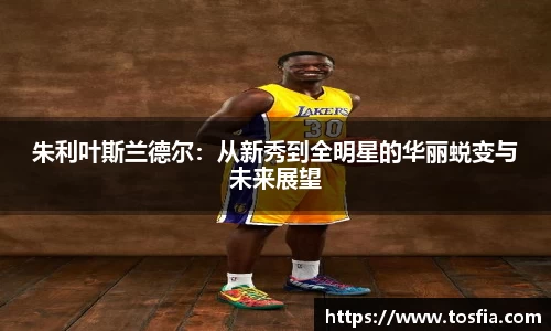 朱利叶斯兰德尔：从新秀到全明星的华丽蜕变与未来展望