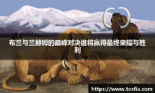 JDB电子官网