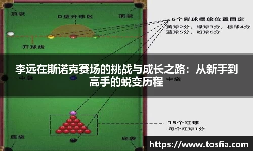 李远在斯诺克赛场的挑战与成长之路：从新手到高手的蜕变历程