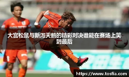 JDB电子平台
