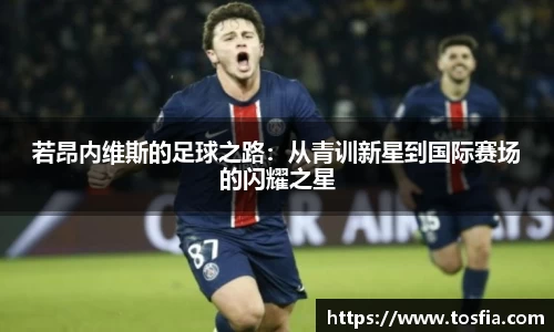 若昂内维斯的足球之路：从青训新星到国际赛场的闪耀之星
