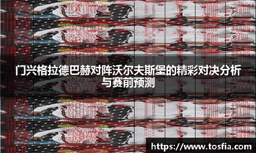 门兴格拉德巴赫对阵沃尔夫斯堡的精彩对决分析与赛前预测