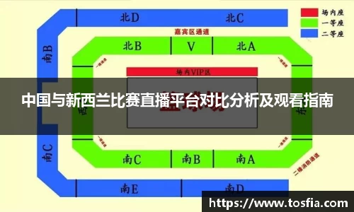 中国与新西兰比赛直播平台对比分析及观看指南