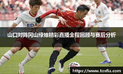 山口对阵冈山绿雉精彩直播全程回顾与赛后分析