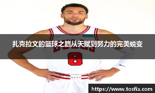 JDB电子官网