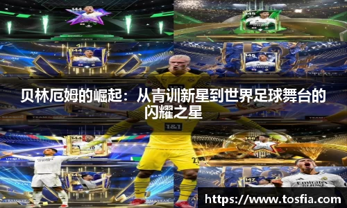JDB电子官网