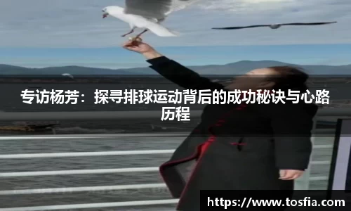 JDB电子官网